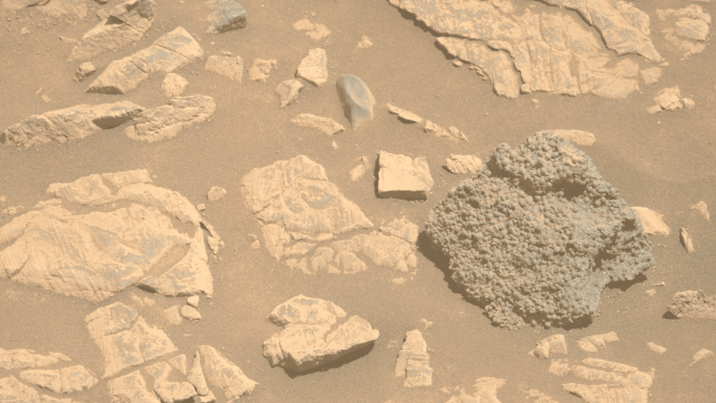 A strange rock set on the cycle on Mars, which was found by the perseverance in NASA