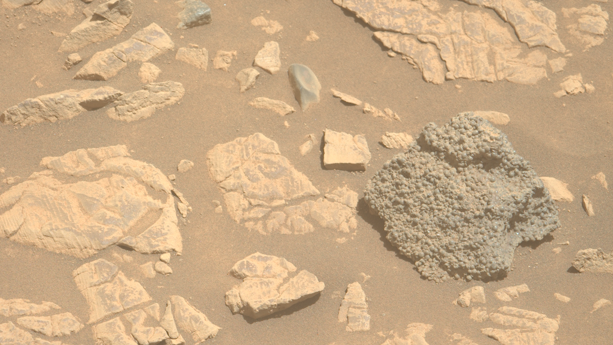 A strange rock set on the cycle on Mars, which was found by the perseverance in NASA