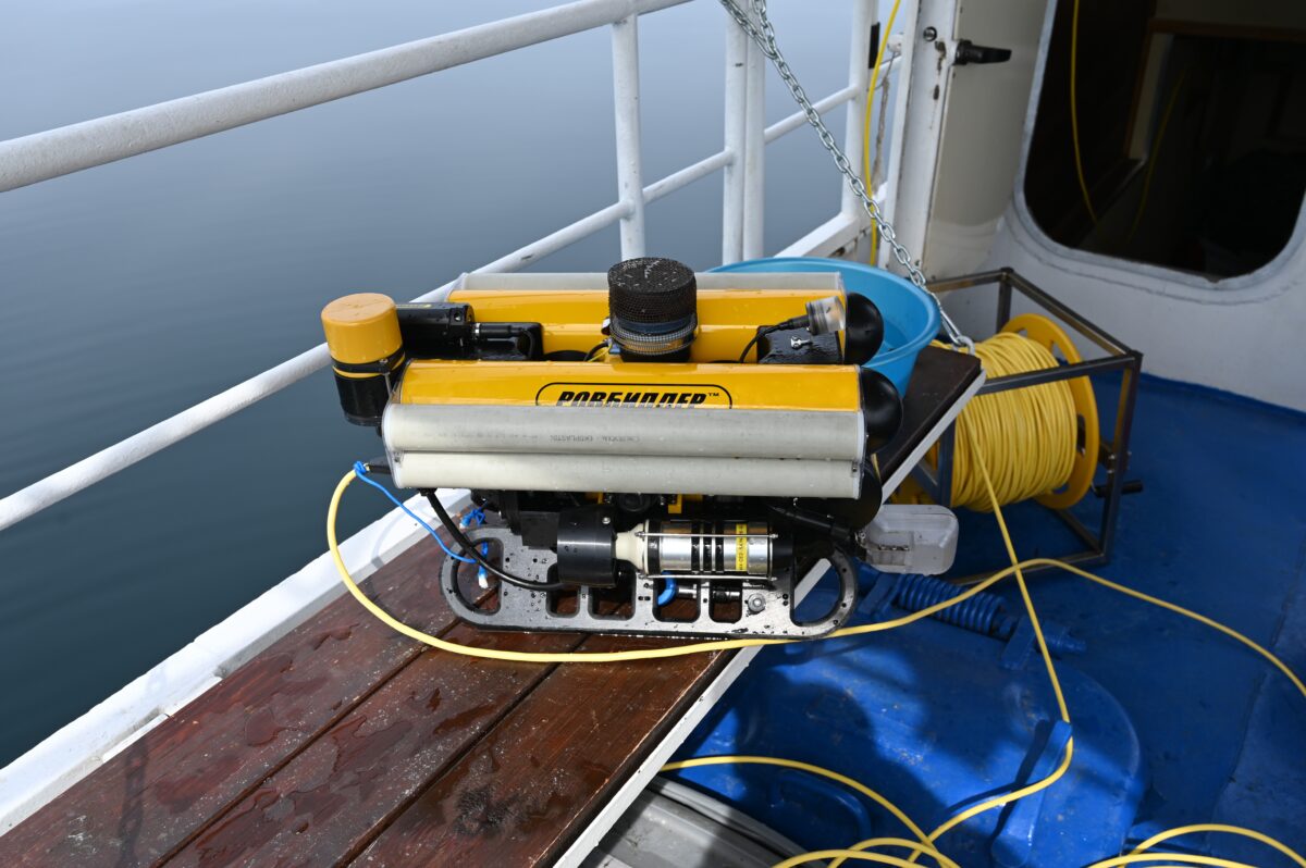 Underwater vehicle (AUV