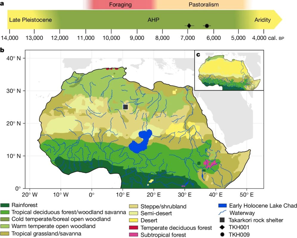 The timeline of the ecozones and the subsistence strategies in the wider desert region.